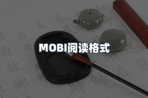MOBI阅读格式
